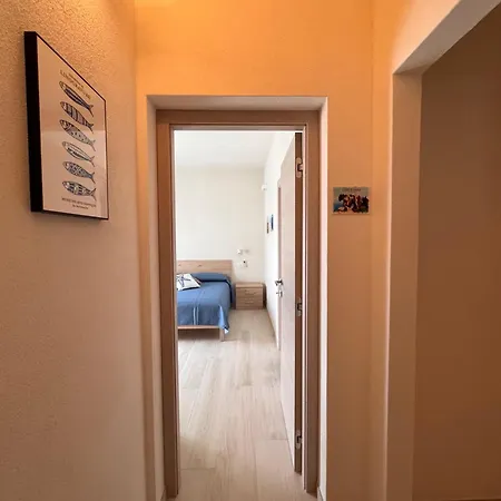 House Pale بالاو